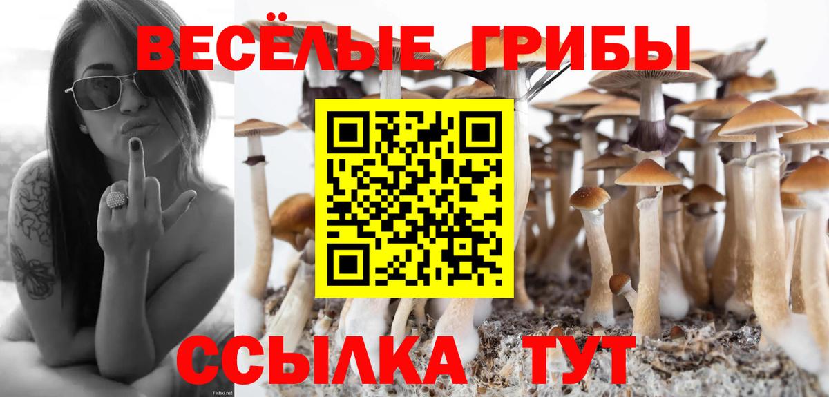 Псилоцибиновые грибы прущие грибы Нальчик